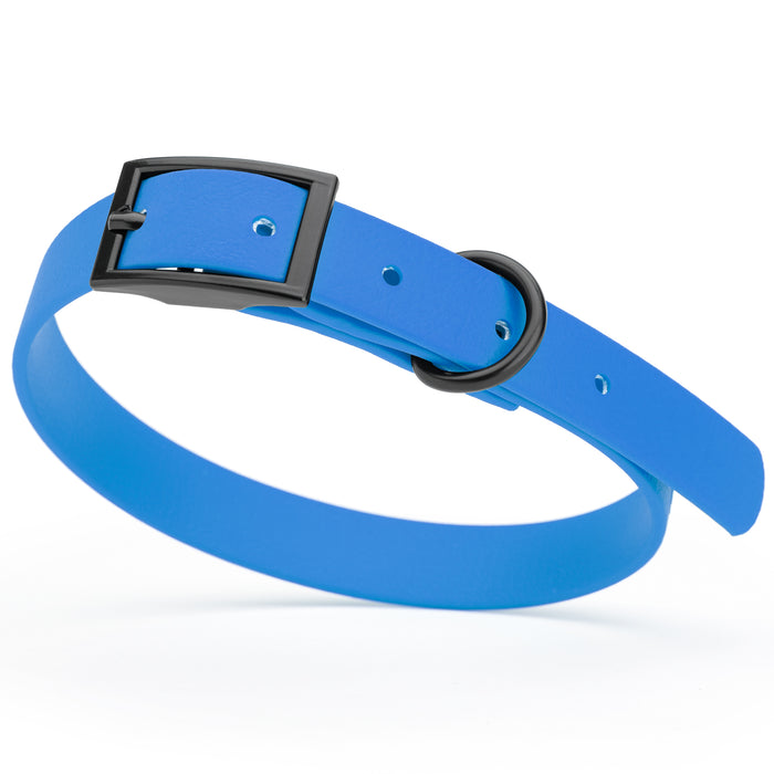 Cerulean Blue dog collar with black hardware, made from waterproof Biothane, small