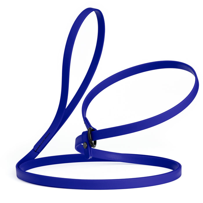 Blueberry slip lead dog leash, made from waterproof Biothane, 1/2-inch wide
