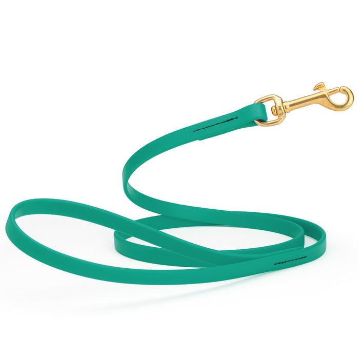 Teal dog leash with brass snap hook, made from waterproof Biothane, 1/2 inches wide