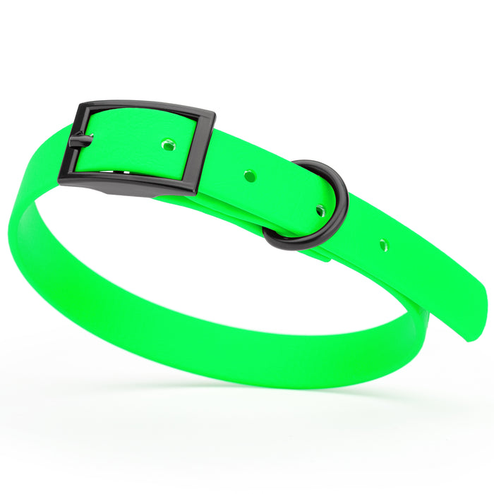 Tropical Green dog collar with black hardware, made from waterproof Biothane, small