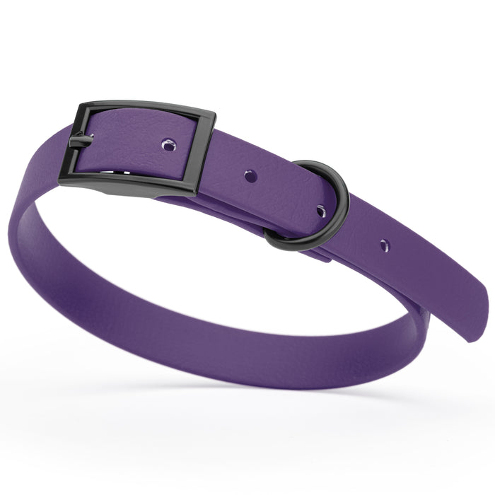 Violet Purple dog collar with black hardware, made from waterproof Biothane, small