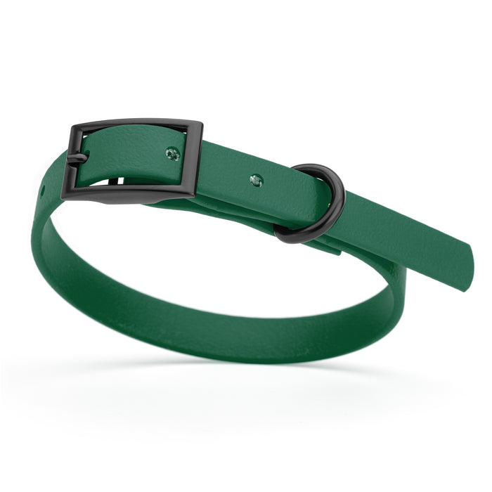 Hunter Green dog collar with black hardware, made from waterproof Biothane