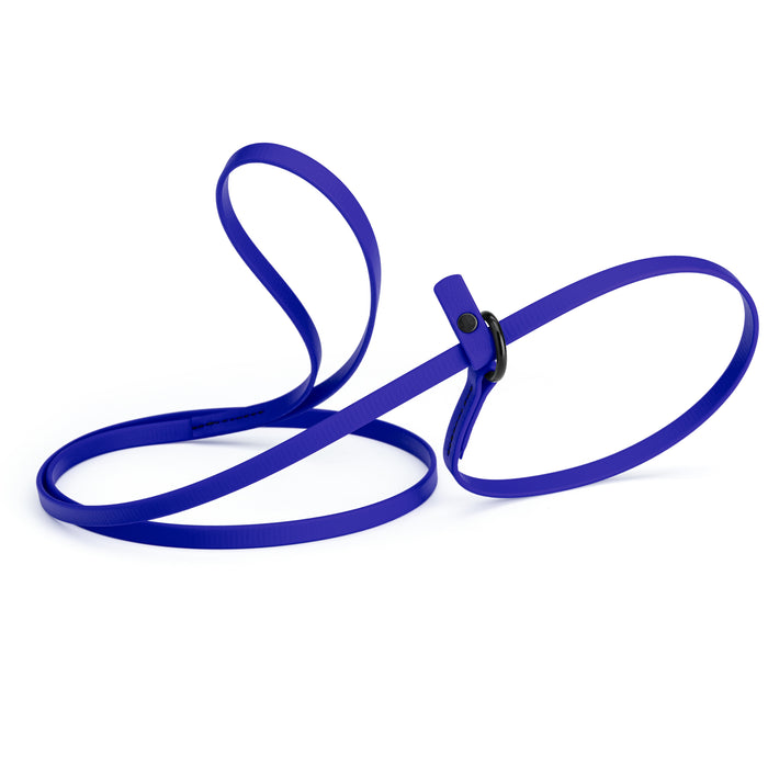 Blueberry slip lead dog leash, made from waterproof Biothane, 3/8-inch wide