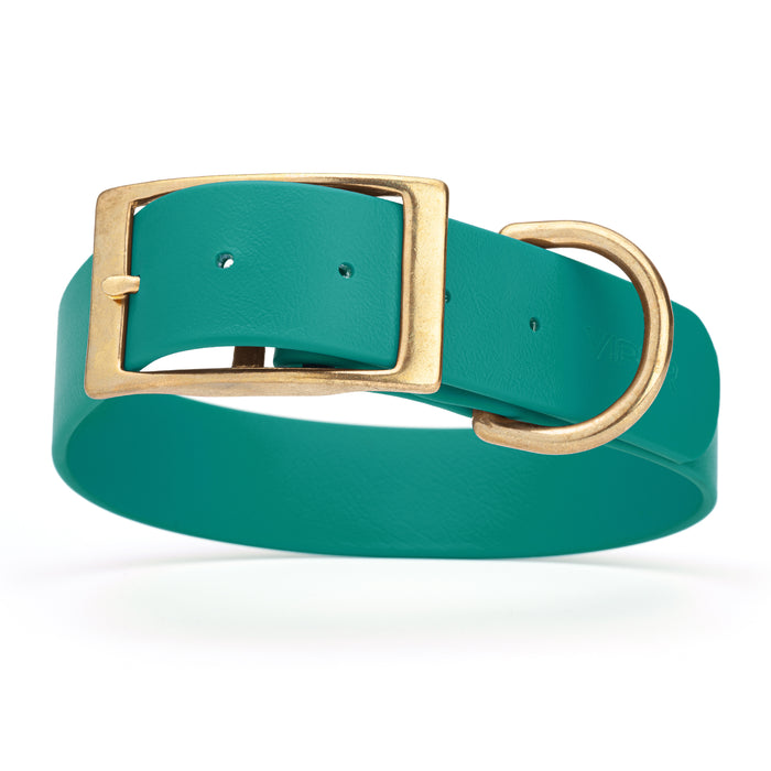 Aqua blue dog collar with brass buckle and D-ring, made from waterproof Biothane, 1.5 in wide, X-large
