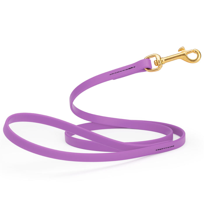 Amethyst Purple dog leash with brass snap hook, made from waterproof Biothane, 1/2 inches wide