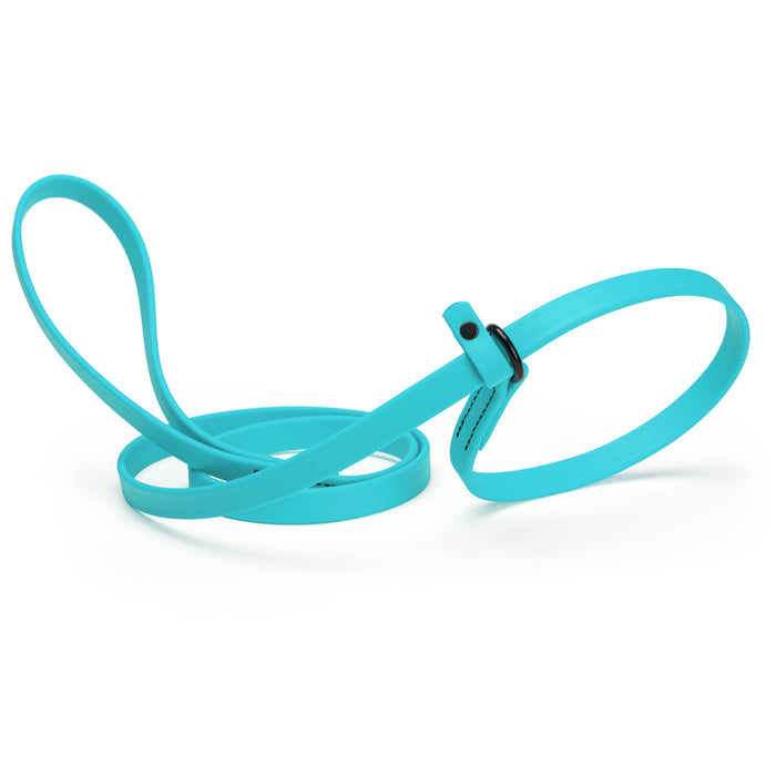 Sky blue slip lead dog leash, made from waterproof Biothane, 5/8-inch wide