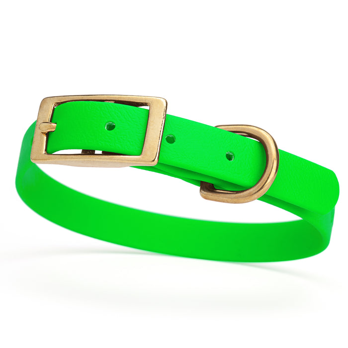 Tropical Green dog collar with brass buckle and D-ring, made from waterproof Biothane, small