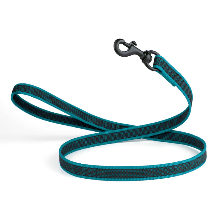 Teal rubberized nylon dog leash with handle and black snap hook, 4 feet long