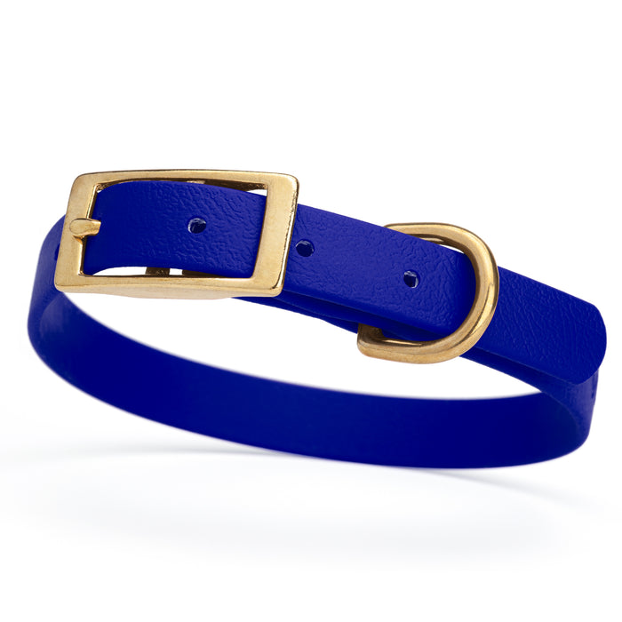 Blueberry dog collar with brass buckle and D-ring, made from waterproof Biothane, small