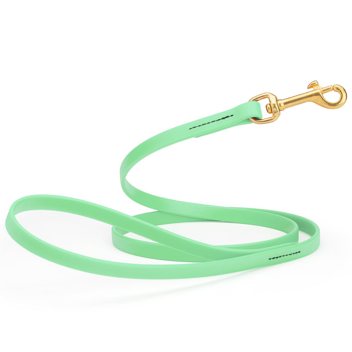 Sea Foam Green dog leash with brass snap hook, made from waterproof Biothane, 1/2 inches wide