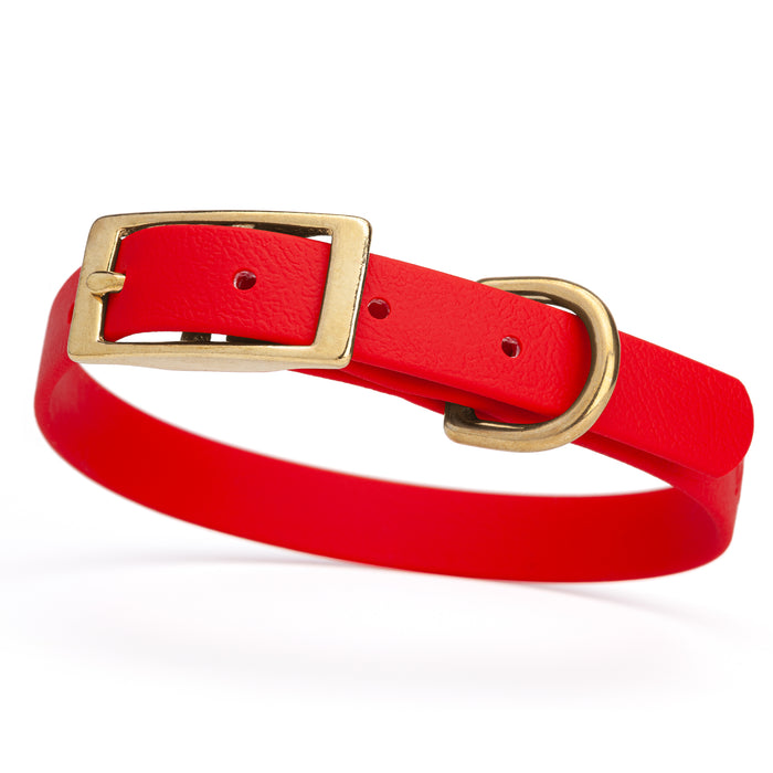 Cherry red dog collar with brass buckle and D-ring, made from waterproof Biothane, small
