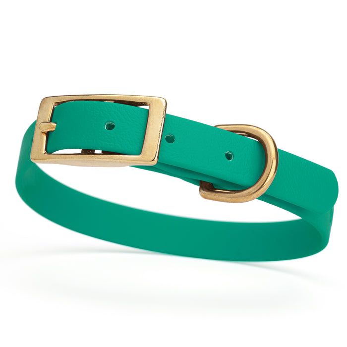 Teal dog collar with brass buckle and D-ring, made from waterproof Biothane, small