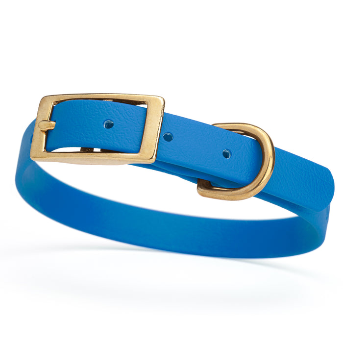 Cerulean Blue dog collar with brass buckle and D-ring, made from waterproof Biothane, small