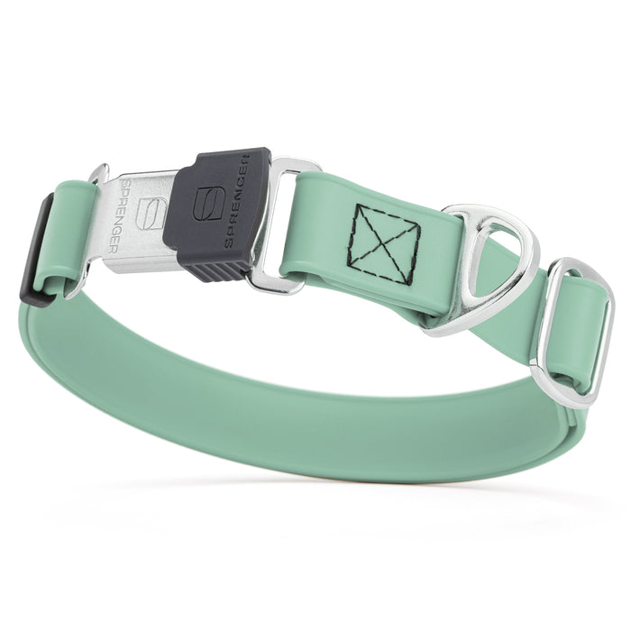 Sage Green dog collar with stainless steel Herm Sprenger quick release buckle, made from waterproof Biothane