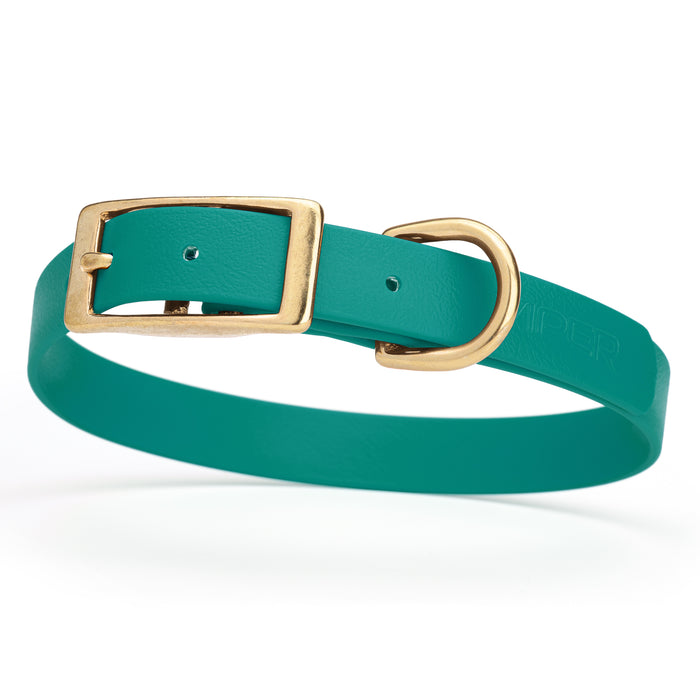 Aqua blue dog collar with brass buckle and D-ring, made from waterproof Biothane, medium