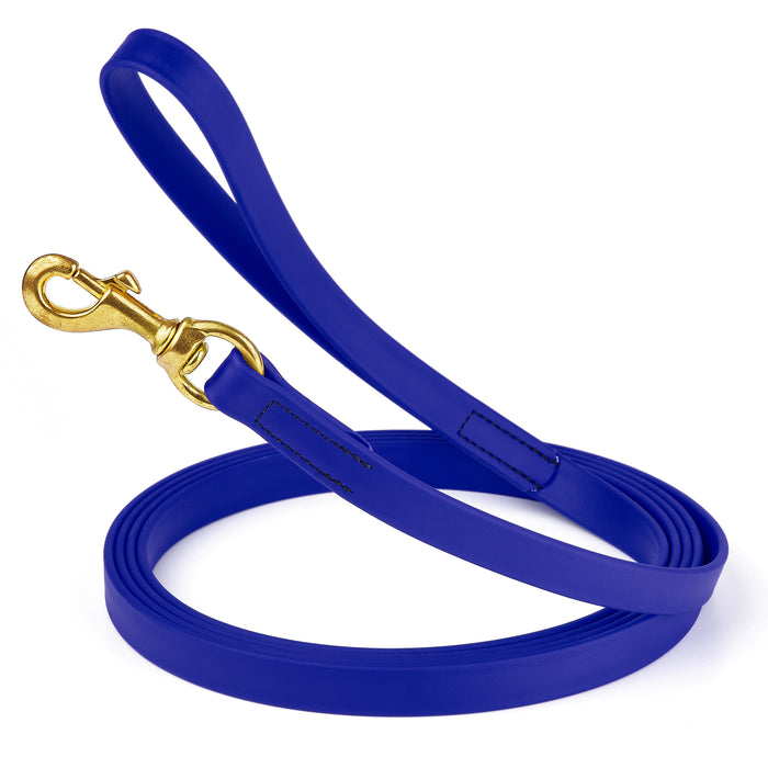 Blueberry dog leash with brass snap hook, made from waterproof and smell proof Biothane, 3/4 inches wide, 15 ft
