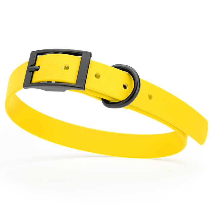 Lemon Yellow dog collar with black hardware, made from waterproof Biothane, medium