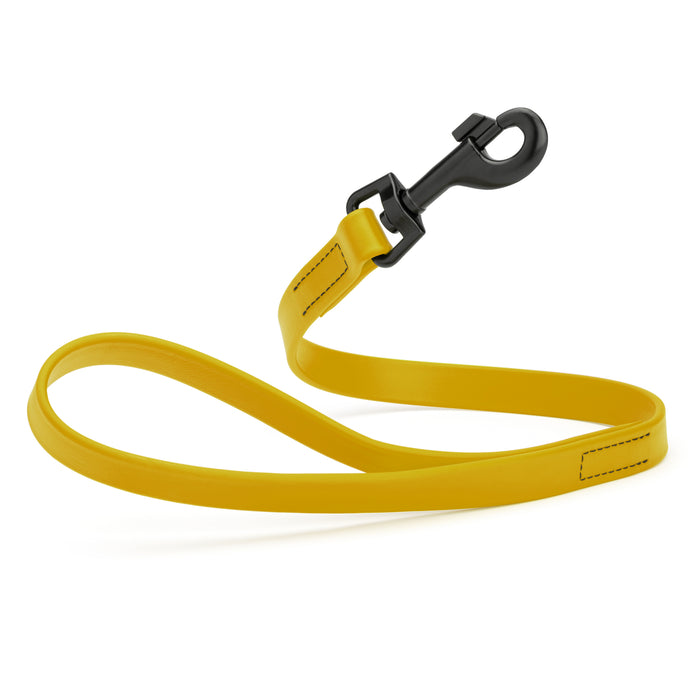 Treasure Gold 2 ft short dog leash with black snap hook, made from waterproof Biothane, 3/4 inches wide