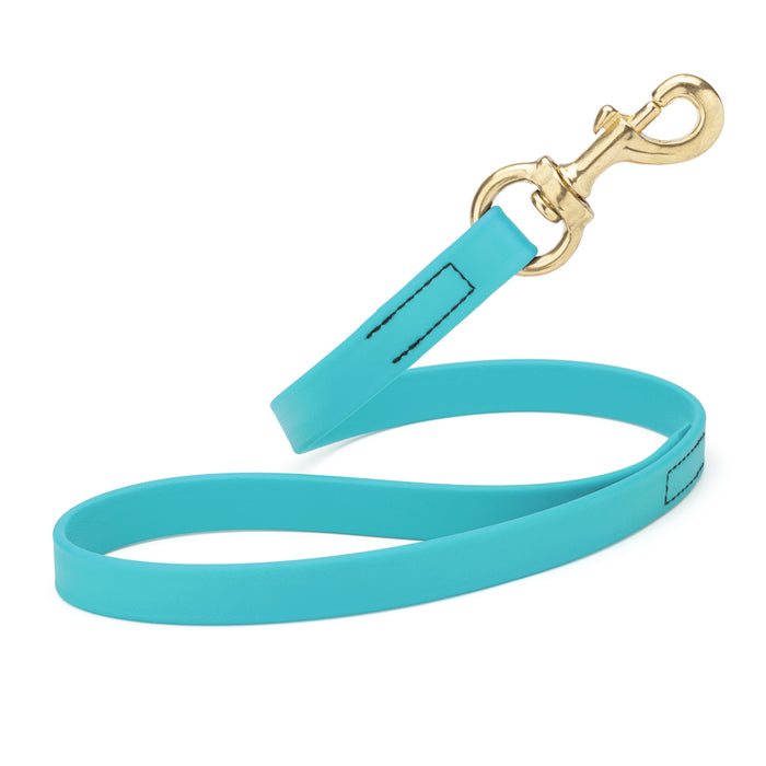 Sky blue traffic dog leash with brass snap hook, made from waterproof Biothane