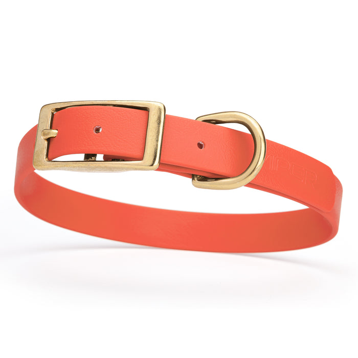Coral dog collar with brass buckle and D-ring, made from waterproof Biothane, medium