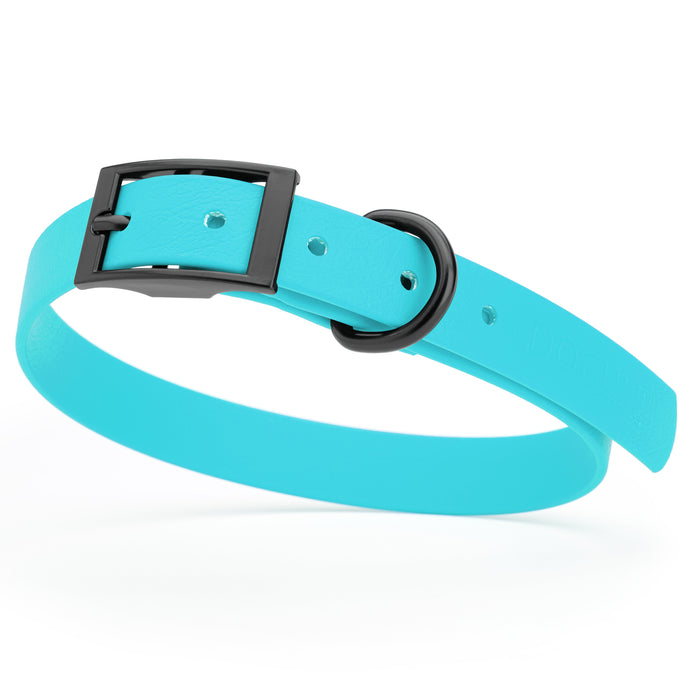 Sky Blue dog collar with black hardware, made from waterproof Biothane, medium