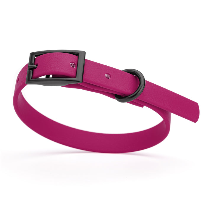 Magenta Pink dog collar with black hardware, made from waterproof Biothane