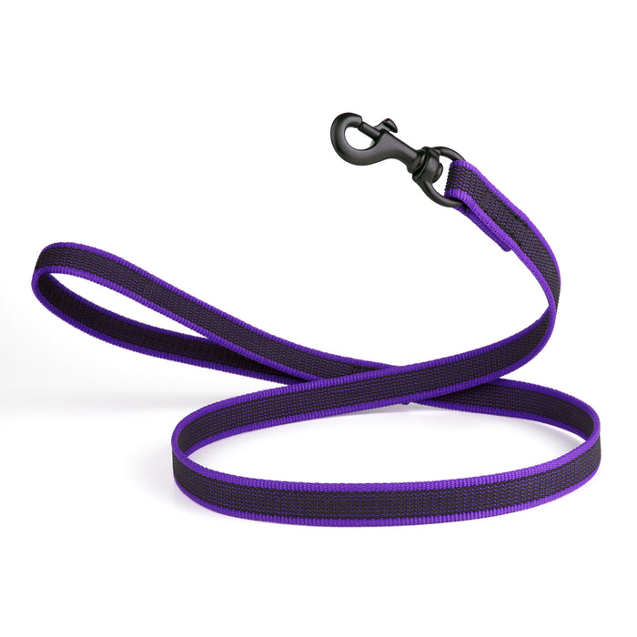 Purple rubberized nylon dog leash with handle and black snap hook, 4 feet long