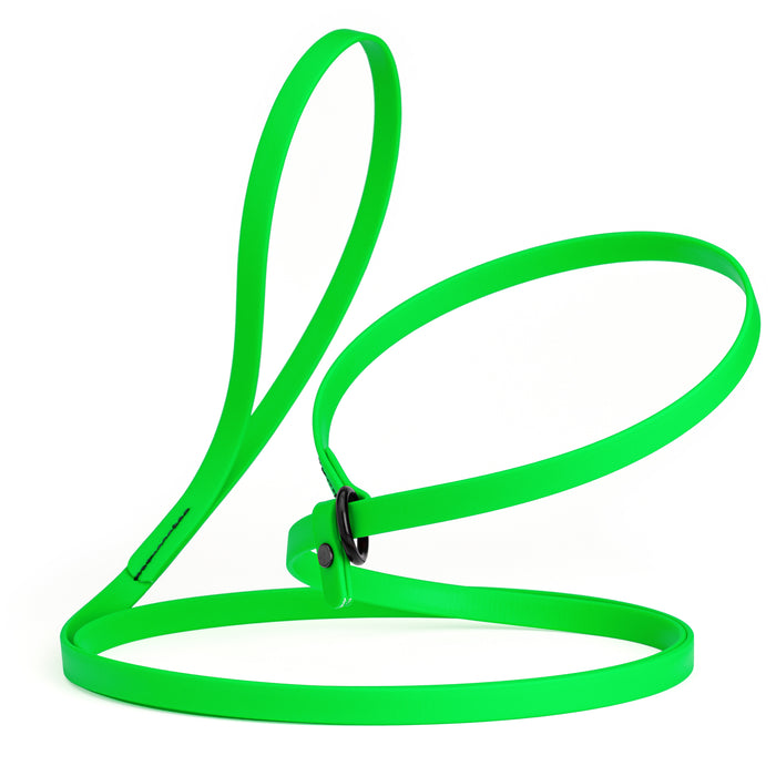 Tropical Green slip lead dog leash, made from waterproof Biothane, 1/2-inch wide