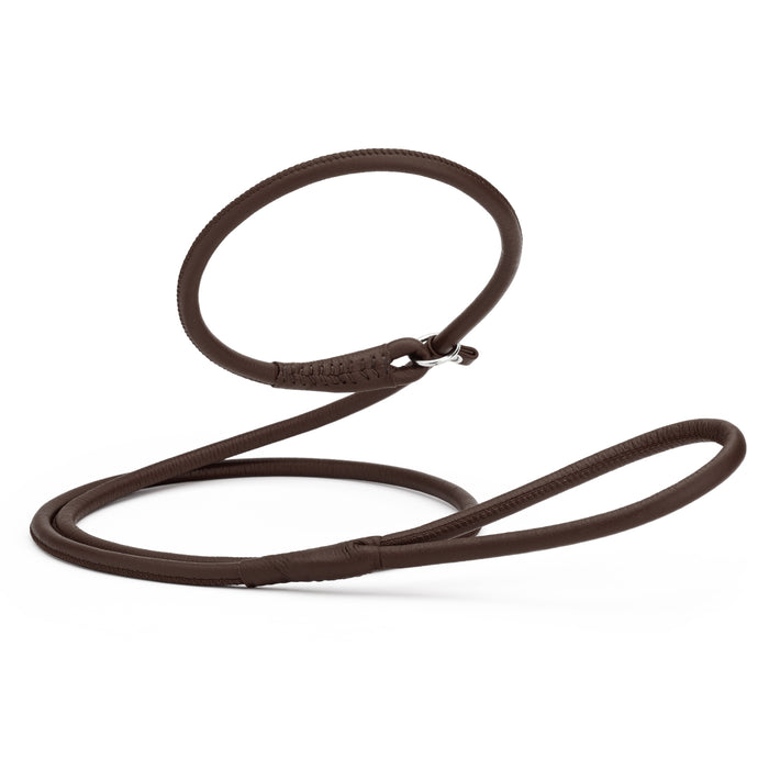 Dark brown leather dog slip lead, 6 feet long