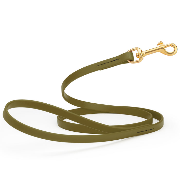 Olive Drab Green dog leash with brass snap hook, made from waterproof Biothane, 1/2 inches wide