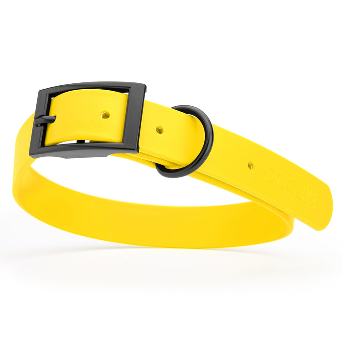 Lemon Yellow dog collar with black hardware, made from waterproof Biothane, large