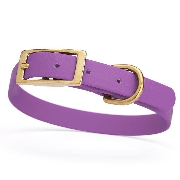 Amethyst Purple dog collar with brass buckle and D-ring, made from waterproof Biothane, small