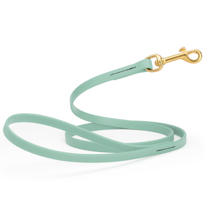 Sage Green dog leash with brass snap hook, made from waterproof Biothane, 1/2 inches wide