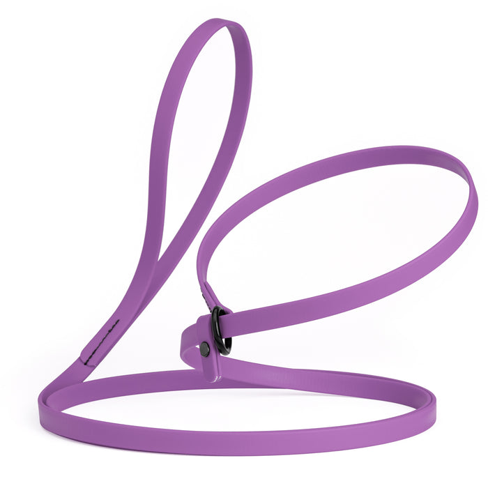 Amethyst Purple slip lead dog leash, made from waterproof Biothane, 1/2-inch wide