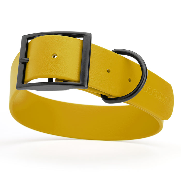 Treasure Gold dog collar with black hardware, made from waterproof Biothane, X-large, 1.5 inches wide