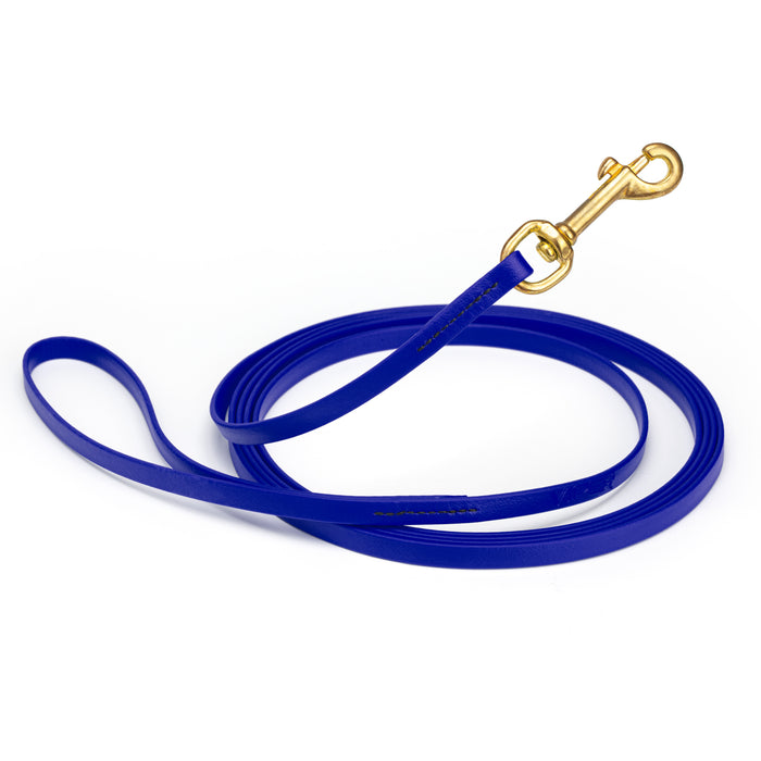 Blueberry dog leash with brass snap hook, made from waterproof and smell proof Biothane, 3/8 inches wide, 10 ft