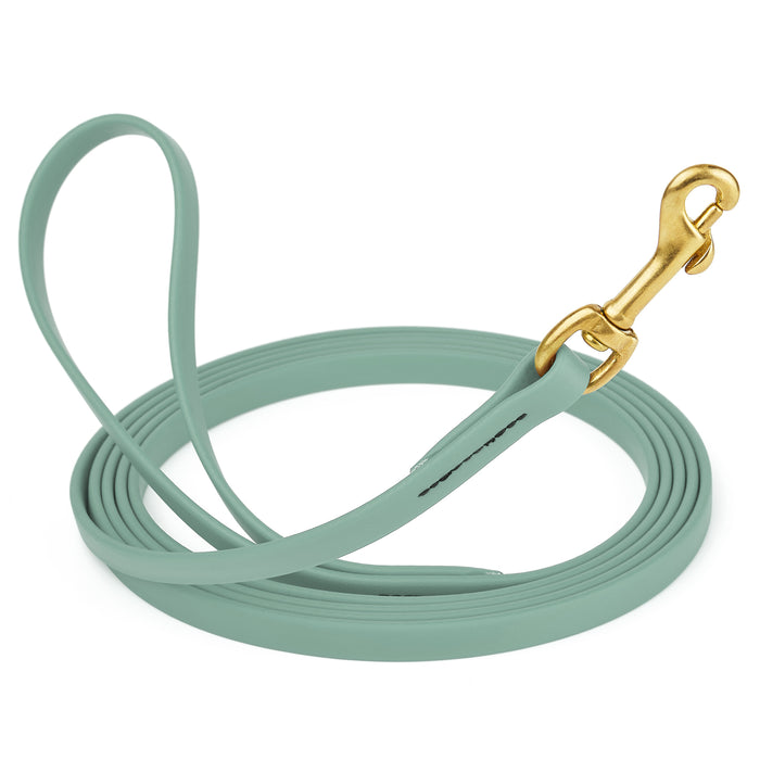 Sage Green dog leash with brass snap hook, made from waterproof and smell proof Biothane, 1/2 inches wide, 10 ft