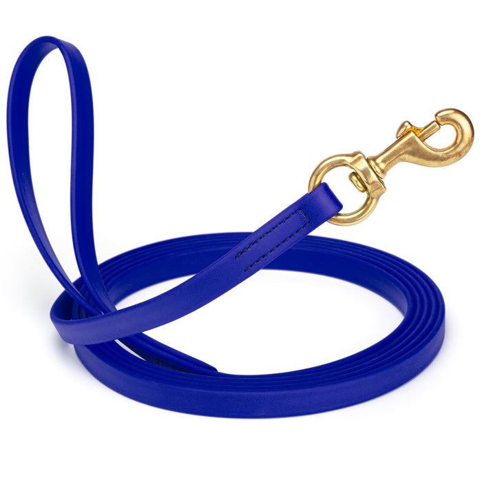Blueberry dog leash with brass snap hook, made from waterproof and smell proof Biothane, 5/8 inches wide, 10 ft