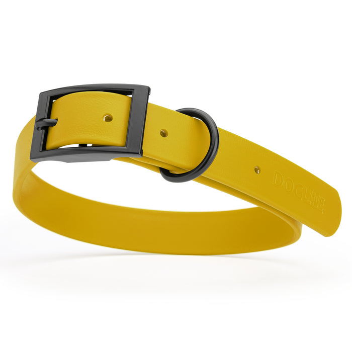 Treasure Gold dog collar with black hardware, made from waterproof Biothane, large