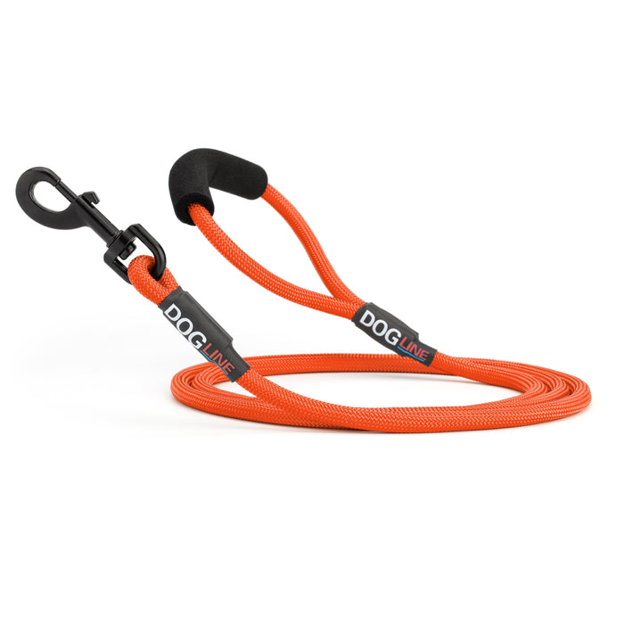 6 feet orange nylon dog leash with neoprene padded handle and black snap hook