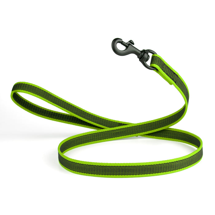 Green rubberized nylon dog leash with handle and black snap hook, 4 feet long
