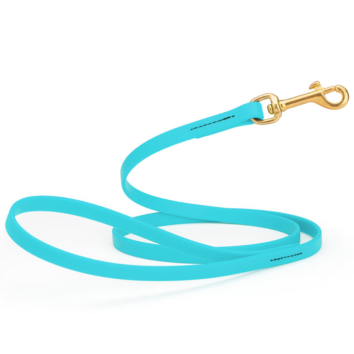Sky blue dog leash with brass snap hook, made from waterproof Biothane, 1/2 inches wide