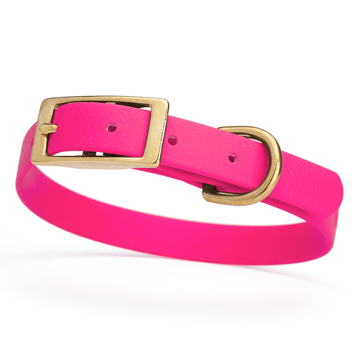 Passionfruit Pink dog collar with brass buckle and D-ring, made from waterproof Biothane, small
