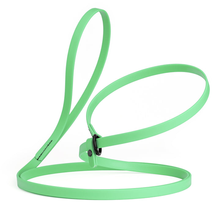 Sea Foam Green slip lead dog leash, made from waterproof Biothane, 1/2-inch wide