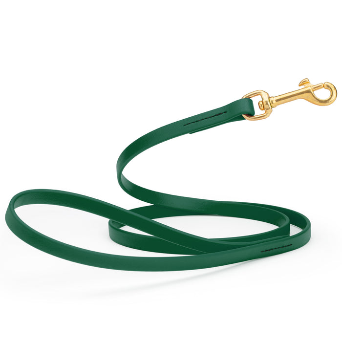 Hunter Green dog leash with brass snap hook, made from waterproof Biothane, 1/2 inches wide