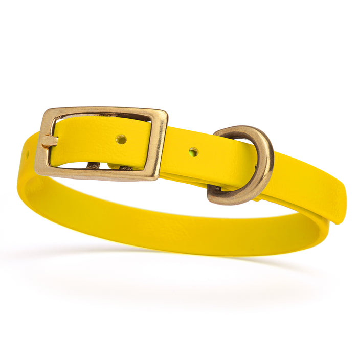Lemon Yellow dog collar with brass buckle and D-ring, made from waterproof Biothane,  x-small