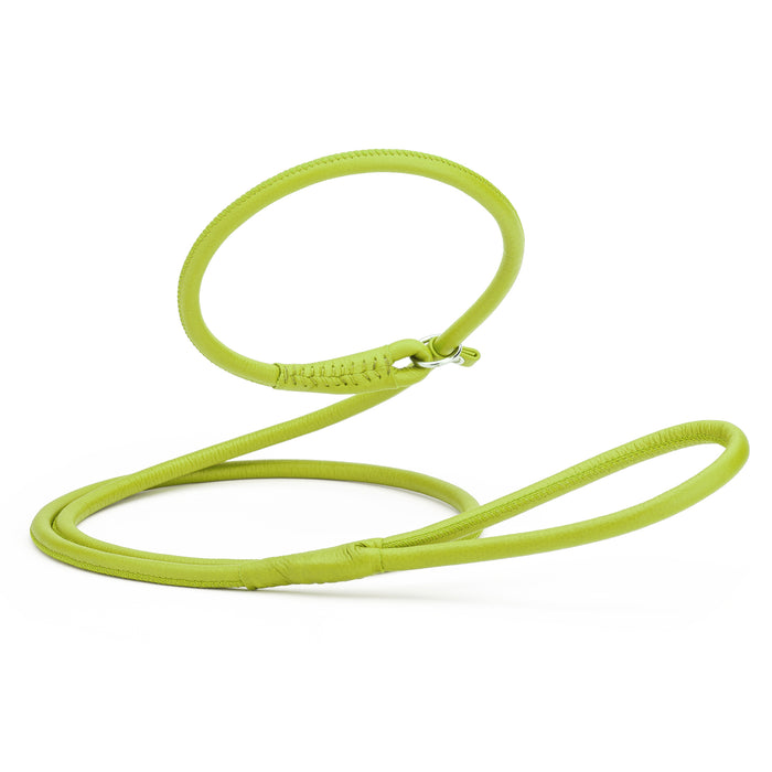 Lime green leather dog slip lead, 6 feet long