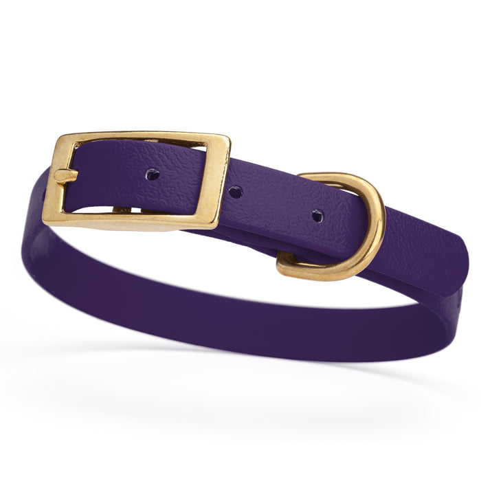 Violet Purple dog collar with brass buckle and D-ring, made from waterproof Biothane, small