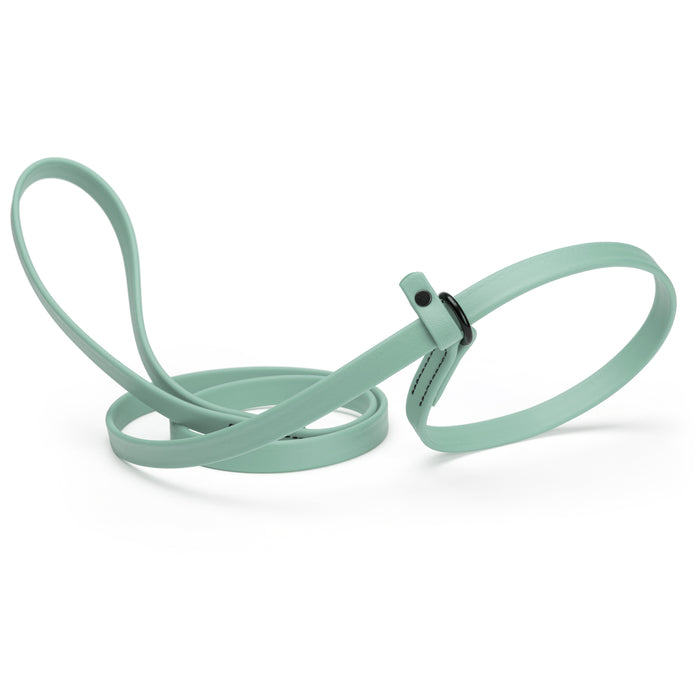 Sage Green slip lead dog leash, made from waterproof Biothane, 5/8-inch wide