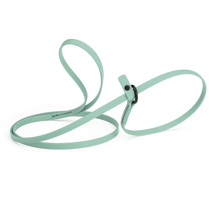 Sage Green slip lead dog leash, made from waterproof Biothane, 3/8-inch wide